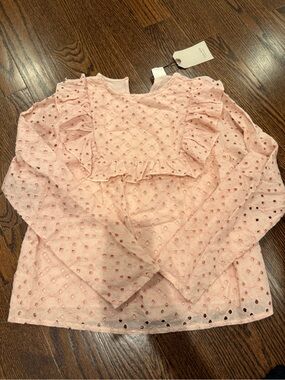 Zara Light Pink Eyelet Ruffle Long-Sleeve Blouse